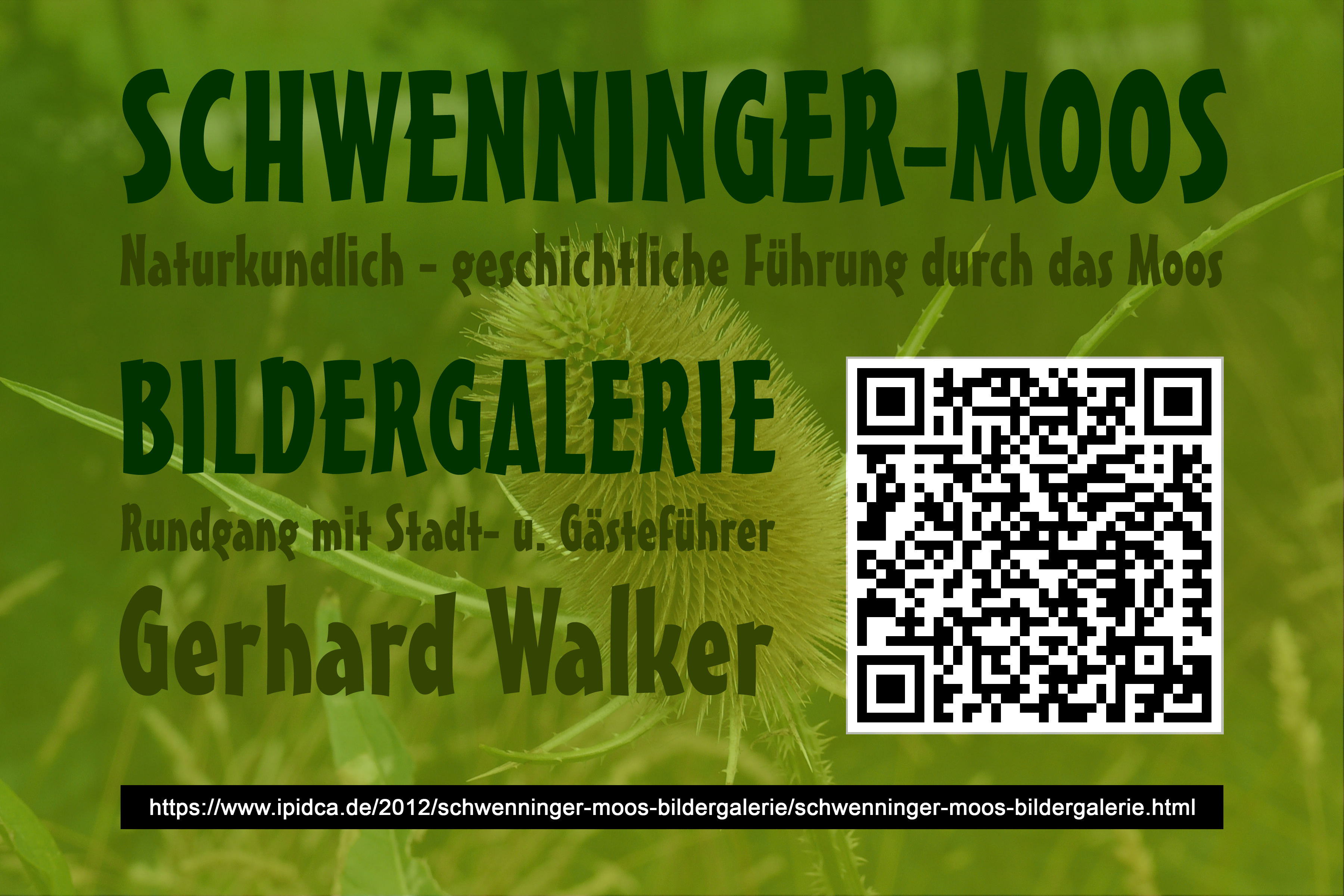 Schwenninger Moos Bild 001